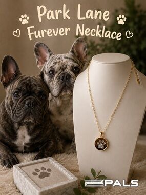 Park Lane Women’s “Furever” Necklace Paw Print Gold Tone Frenchie Lover Gift